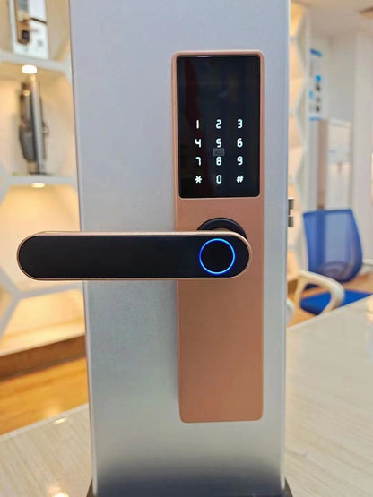 Smart Wooden Door Fingerprint Lock WiFi Password Access Door Intercom Security Handle