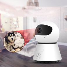 Surveillance Products